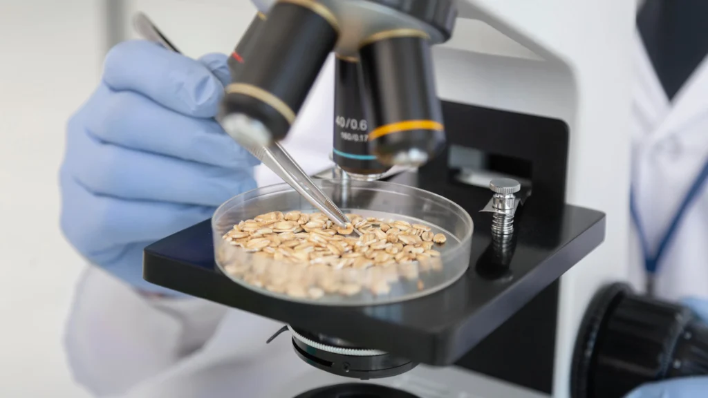 Sustainable Feed Formulation — The Future of Livestock Nutrition