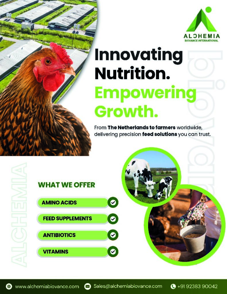 thumbnail of Alchemia Brochure New